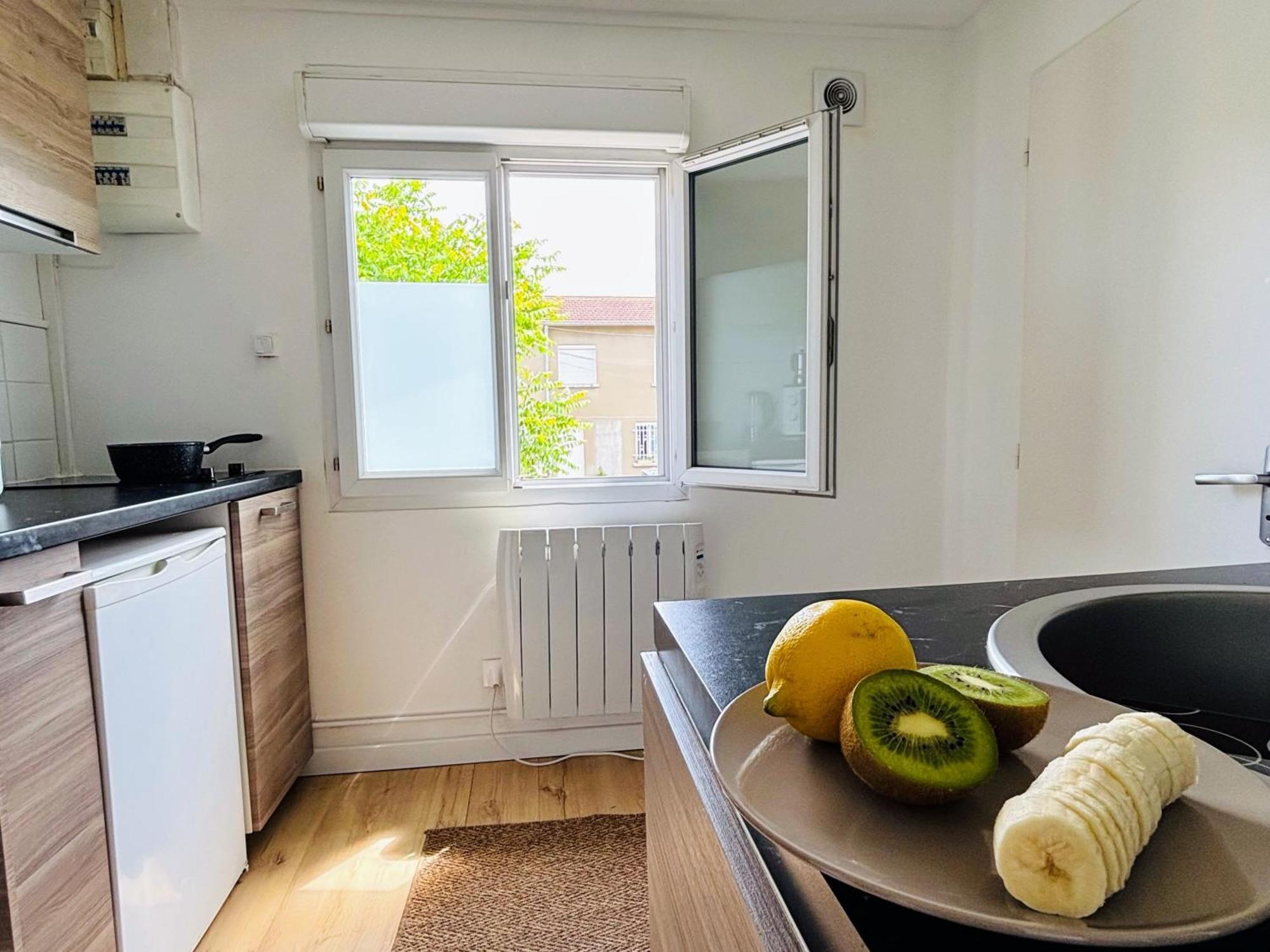 Appartement Avec Terrasse - Goupama Stadium, Eurexpo, Ldlc Arena, La Soie Во-ан-Велен Экстерьер фото